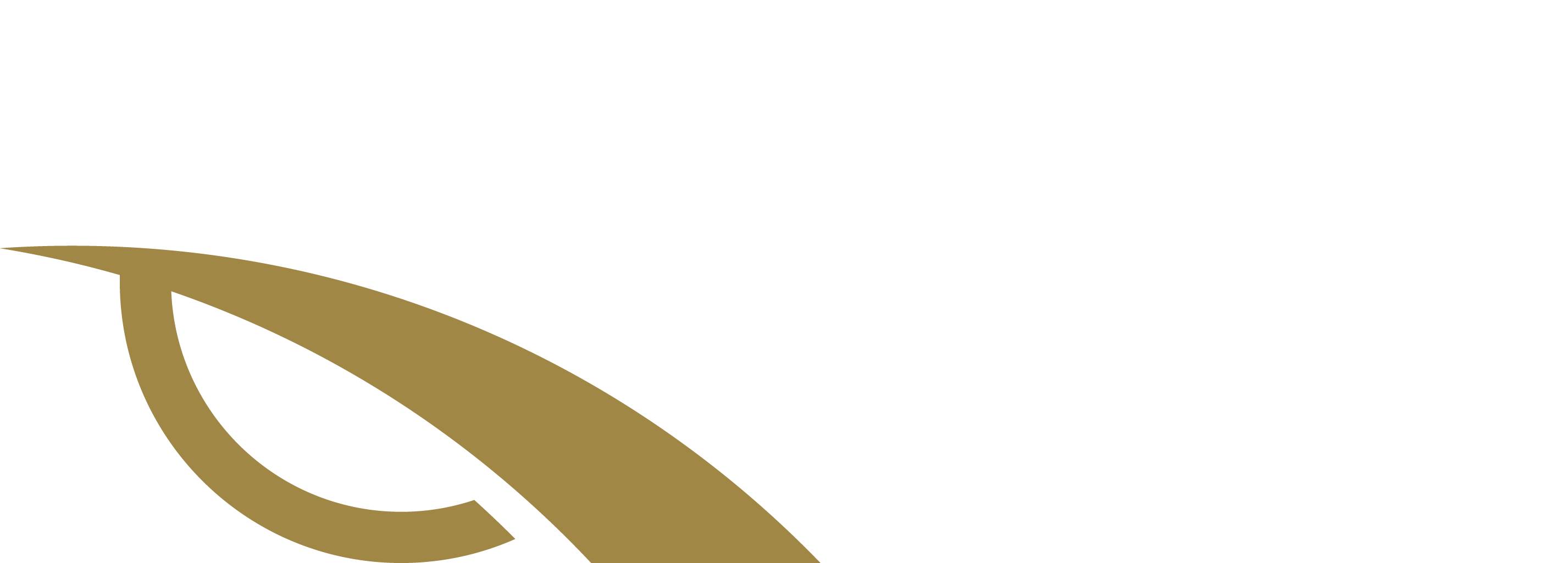 Quantum Pathways