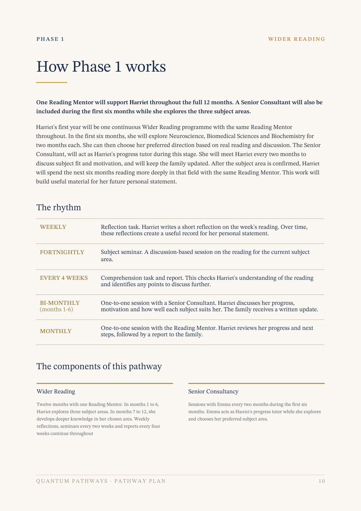 Pathway Plan, example page: How Phase 1 works