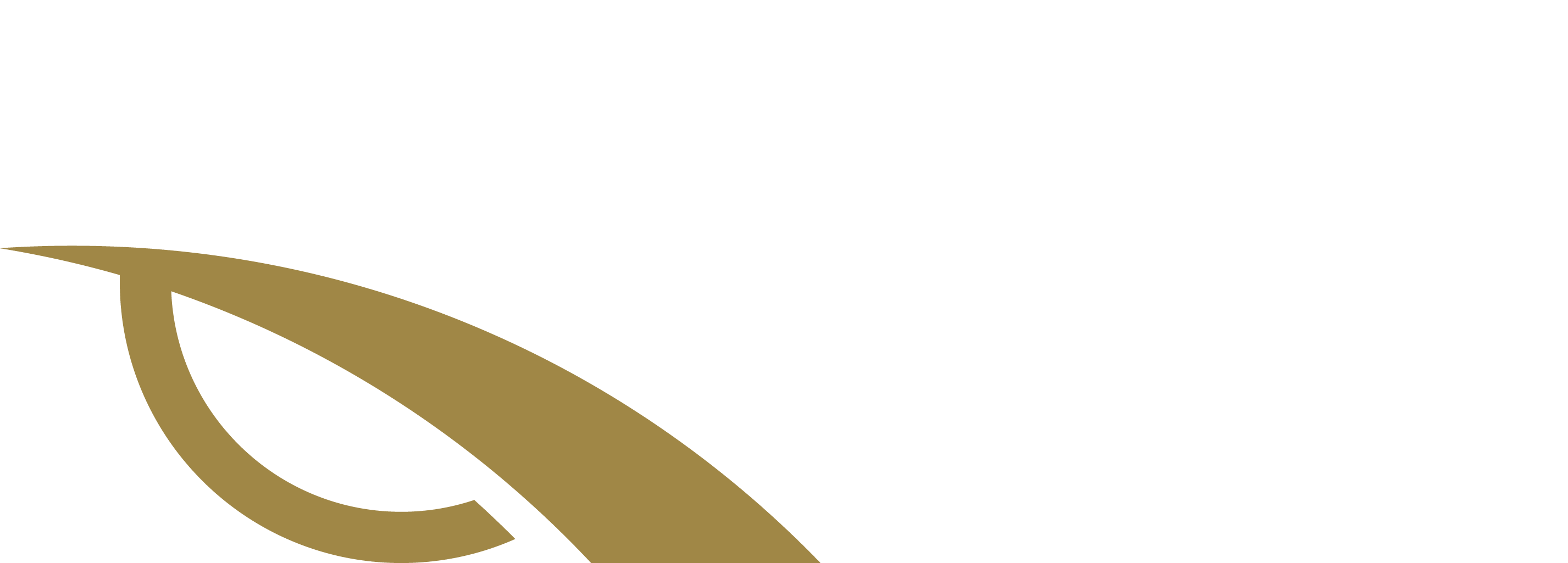 Quantum Pathways
